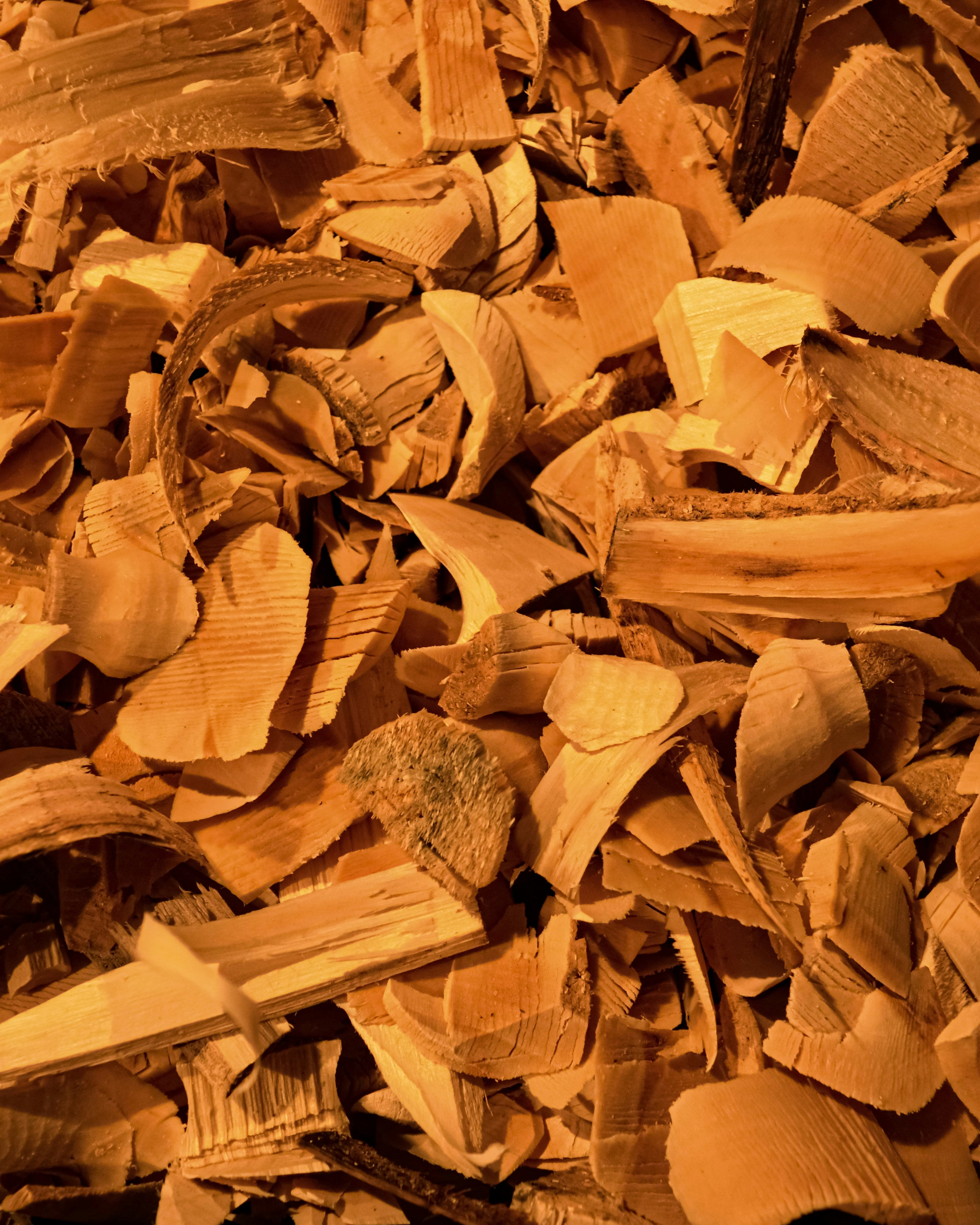 Ethereal Sandalwood Glow
