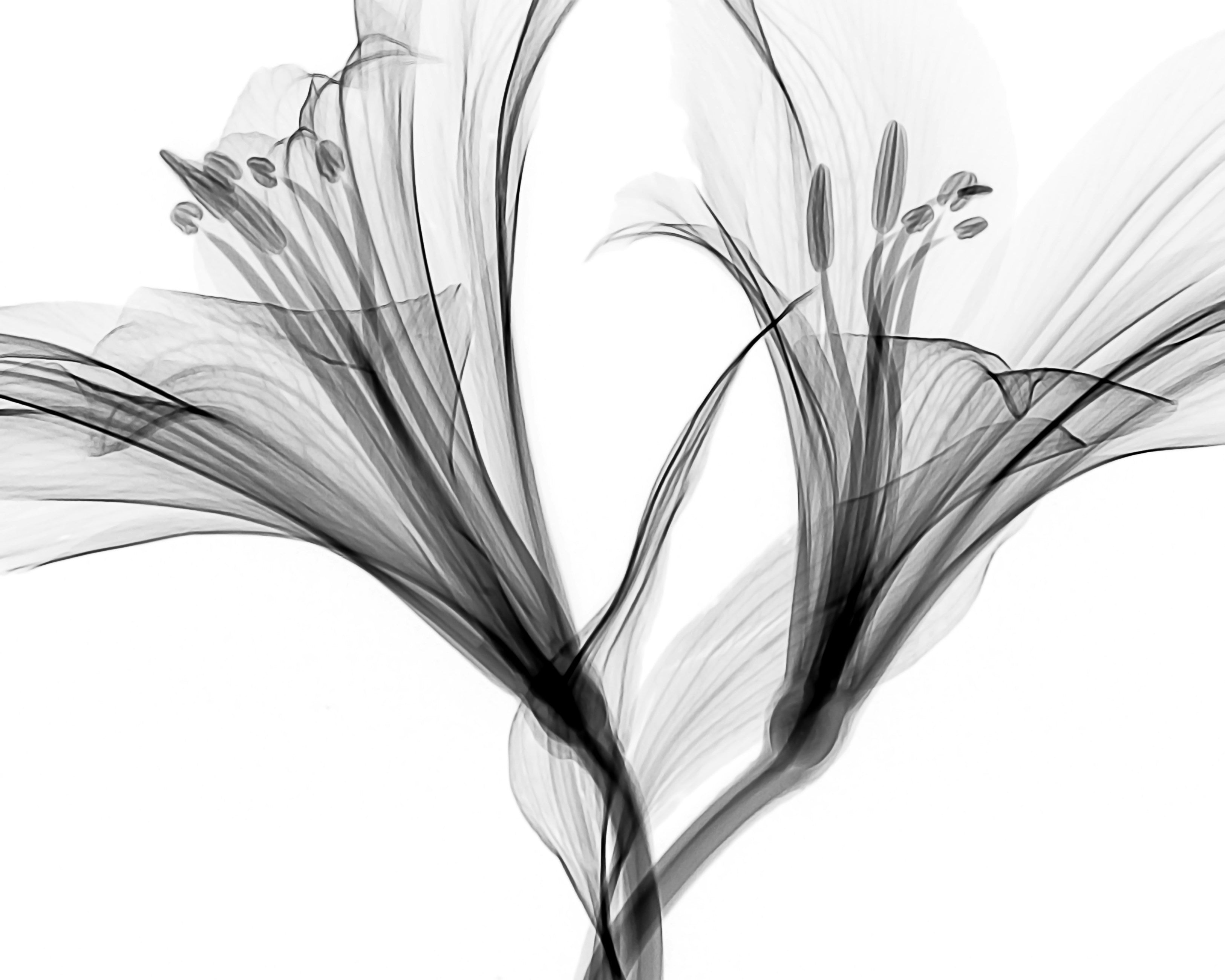 Images